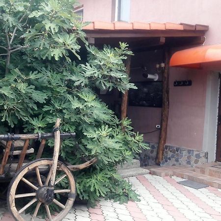 Arad Apartment - Airport Area Exterior foto